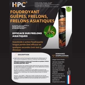 AÉROSOL FOUDROYANT CHOC NID DE GUÊPES ET FRELONS ASIATIQUES 750 ml